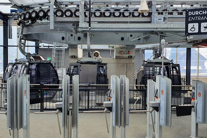 Alpine Majesty:Exclusive Private Tour to Mount Titlis From Zürich - Activities at Mount Titlis