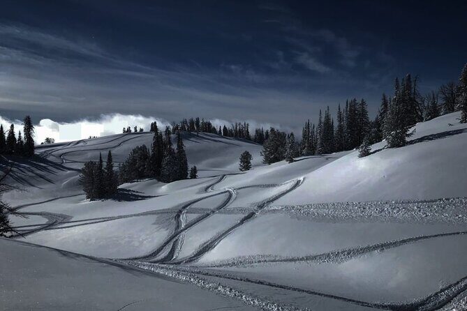 Alpine Self Guided Snowmobile Rentals - Good To Know