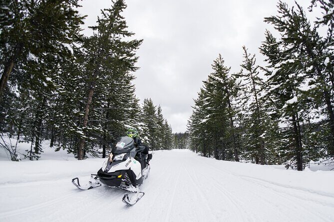 Alpine Self Guided Snowmobile Rentals - The Experience: From Meeting Point to Trail