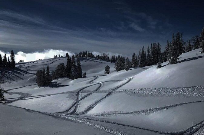 Alpine Self Guided Snowmobile Rentals - Practical Considerations & What to Expect