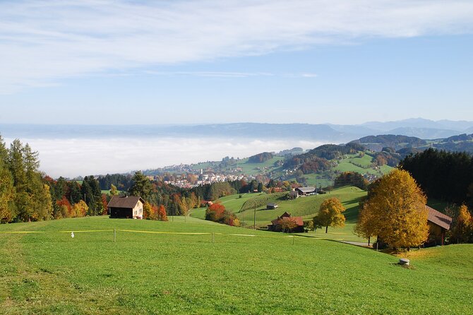 Alpine Tour Across Switzerland - Visiting Iconic Swiss Landmarks