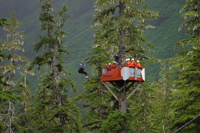 Alpine Zipline Adventure in Juneau, AK - Visitor Experiences and Feedback