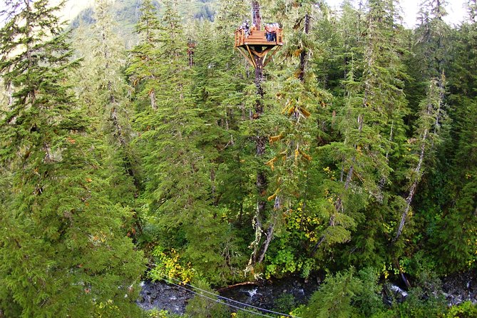 Alpine Zipline Adventure in Juneau, AK - Visitor Recommendations