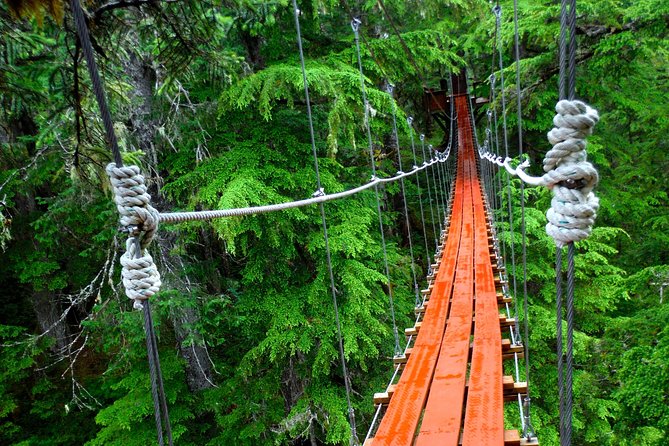 Alpine Zipline Adventure in Juneau, AK - Common Questions