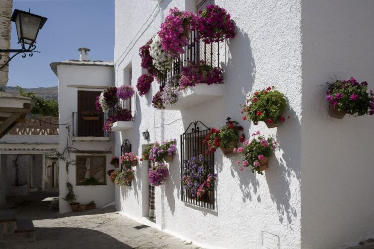 Alpujarra Experience: Historical Mountain Villages - Traditional Lifestyles and Architecture