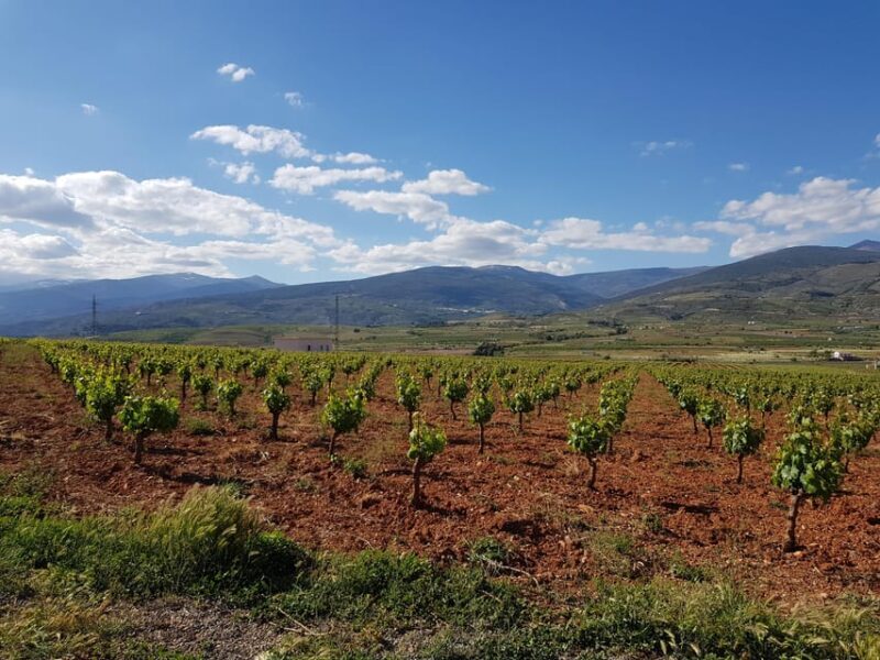 Alpujarra of Almería: Organic Wine tour and local aperitif - Final Thoughts