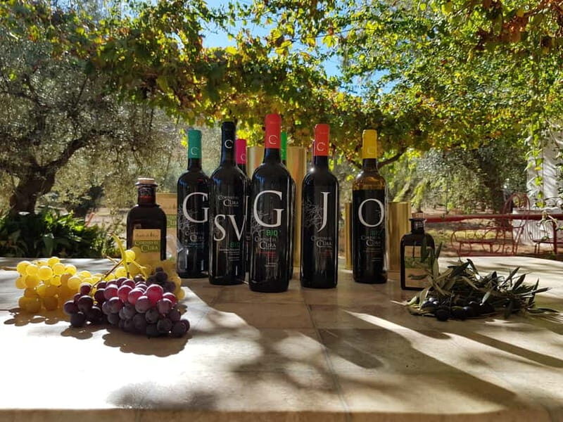 Alpujarra of Almería: Organic Wine tour and vegan aperitif - Final Thoughts