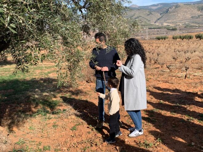 Alpujarra: Wine Tour and Local Aperitif in Organic Winery - Included Features