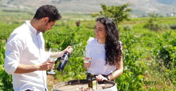 Alpujarra: Wine Tour and Local Aperitif in Organic Winery - Winemaking Secrets