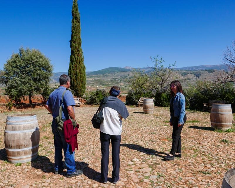 Alpujarra: Wine Tour and Vegan Aperitif in Organic Winery - Good To Know