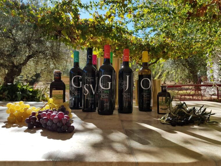 Alpujarra: Wine Tour and Vegan Aperitif in Organic Winery - Customer Feedback and Ratings