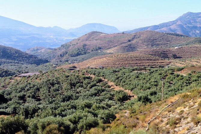 Alpujarras Small Group Tour From Granada - Negative Language Barrier Experience