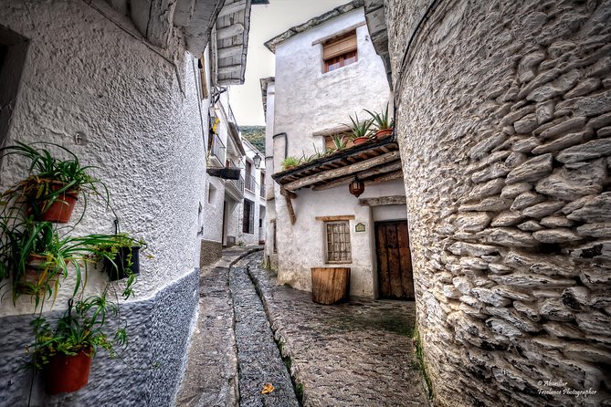 Alpujarras Small Group Tour From Granada - Price and Duration of the Tour