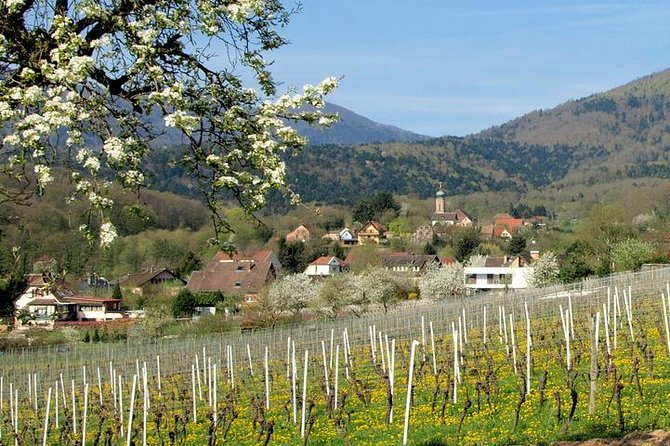 Alsace 4 Wonders Small-Group Day Trip From Colmar - Traveler Photos and Reviews