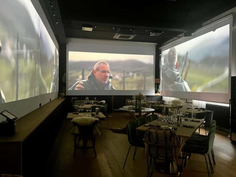 Alsace: Alsatian Wine Tasting Tour and Alsatian Lunch - Who This Tour Is Best For