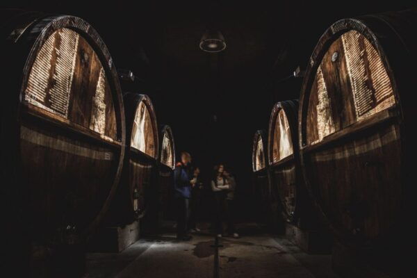 Alsace: Alsatian Wine Tasting Tour and Lunch 100% Immersive - Important Notes