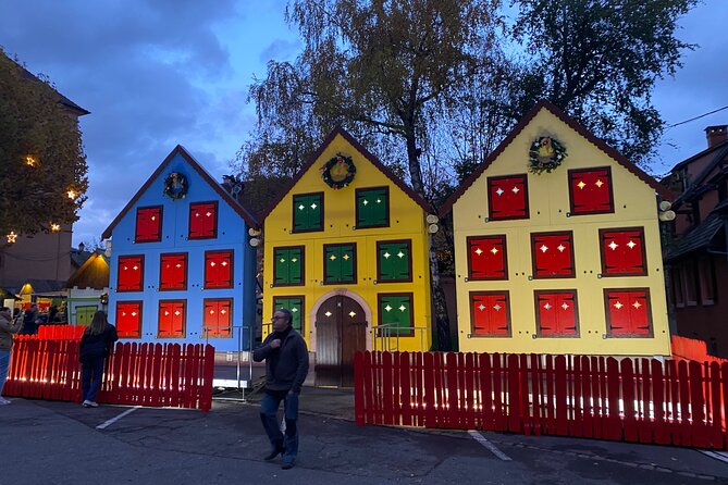 Alsace Christmas Markets & Fairy Tale Villages Private Tour From Strasbourg - Tour Overview and Highlights