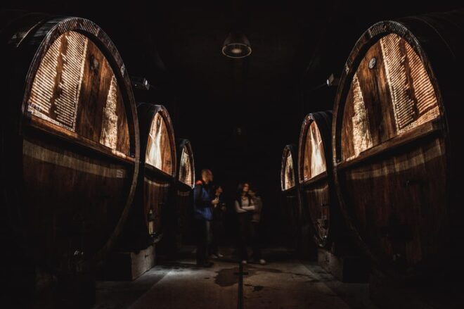 Alsace: Christmas Wine Tour With Wine Tasting - Customer Reviews and Ratings