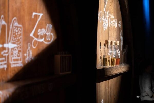 Alsace: Christmas Wine Tour With Wine Tasting - Questions You May Have