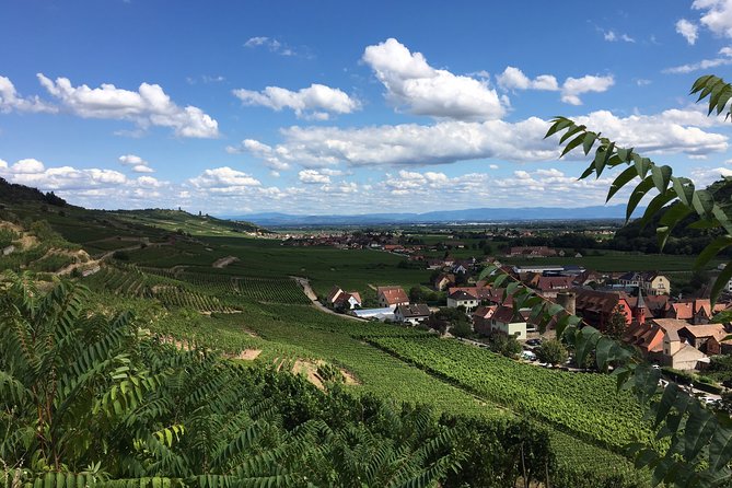 Alsace Discovery Private Tour With Local Villages & Castles - Ratings and Reviews Statistics