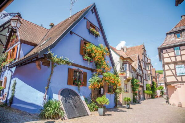 Alsace: Full-Day Wine Tour & Tastings From Strasbourg - Questions You May Have