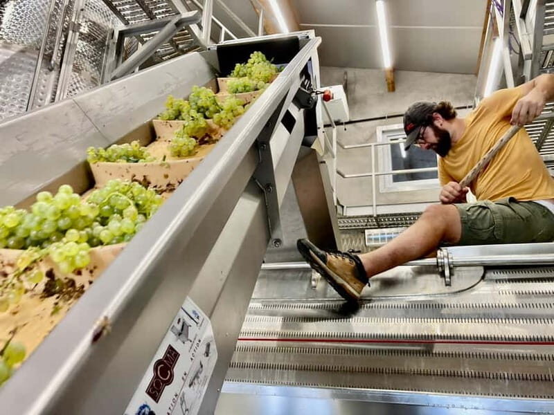 Alsace gourmande: Cellar visit and snack tasting - Inside the Winery and Cuvérie