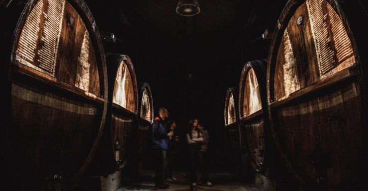 Alsace: Guided Wine Tasting and Cellar Visit - Experience