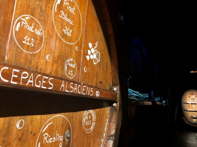 Alsace: Guided Wine Tasting and Cellar Visit - Customer Reviews