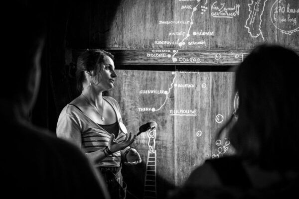 Alsace: Guided Wine Tasting and Cellar Visit - Common Questions