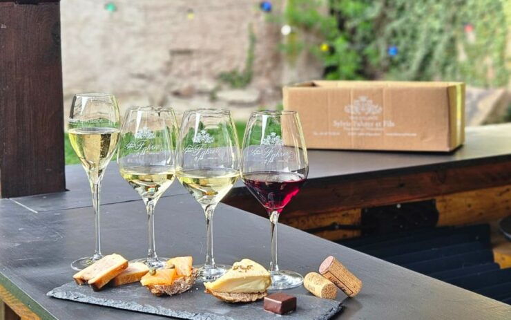 Alsace : Guided Winery Tour in Alsace - Local Wine Tasting - Good To Know