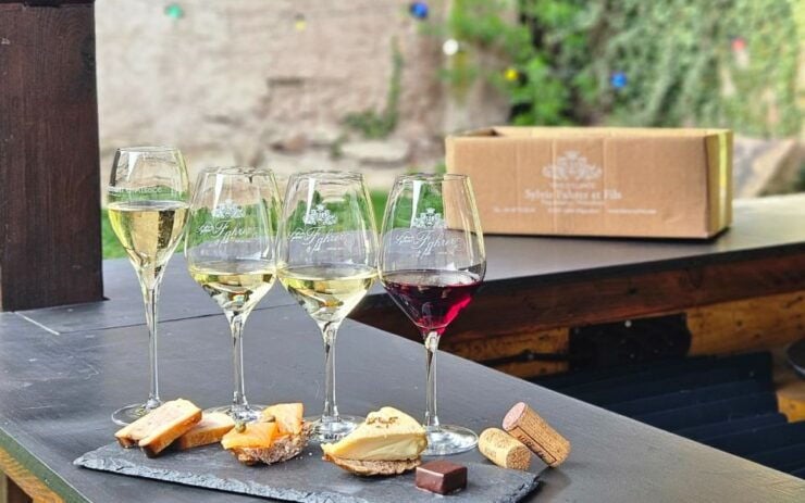 Alsace : Guided Winery Tour in Alsace - Local Wine Tasting - Wine Tasting Experience