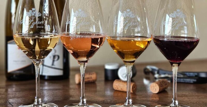 Alsace : Guided winery tour in Alsace - local wine tasting - The Wine Tasting Experience