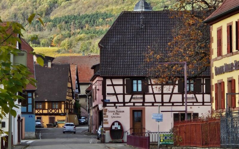 Alsace : Guided winery tour in Alsace - local wine tasting - Who Will Enjoy This Tour?