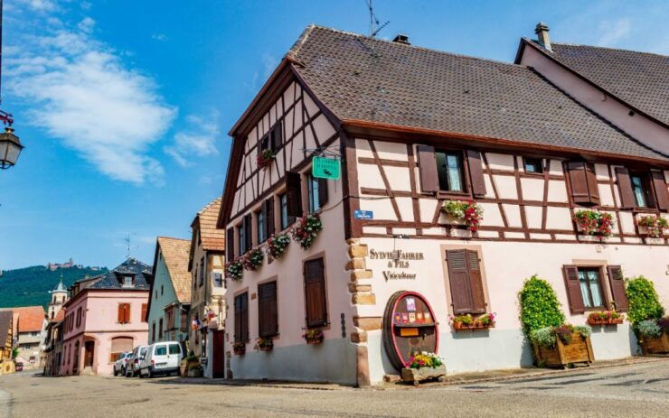 Alsace : Guided Winery Tour in Alsace - Local Wine Tasting - Experience Highlights