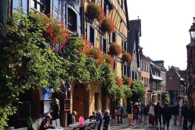 Alsace: Half-Day Wine Tour From Colmar - Customer Testimonials