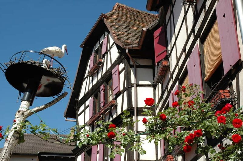 Alsace Half-Day Wine Tour from Strasbourg - What to Expect from the Alsace Half-Day Wine Tour