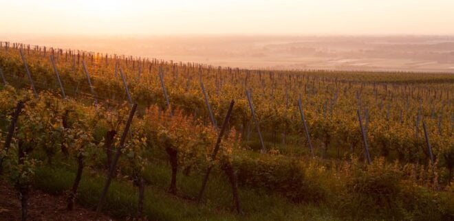 Alsace : One Day Wine Route Tour With Private Driver - Common Questions