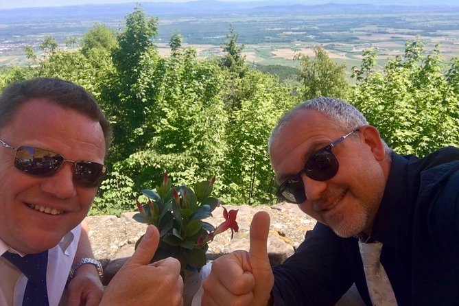 Alsace Private Tailored Tour in a Tesla With a Local - Questions and Support