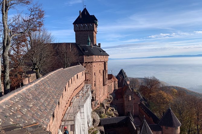 Alsace Private Tailored Tour in a Tesla With a Local - Pricing and Cancellation Policy