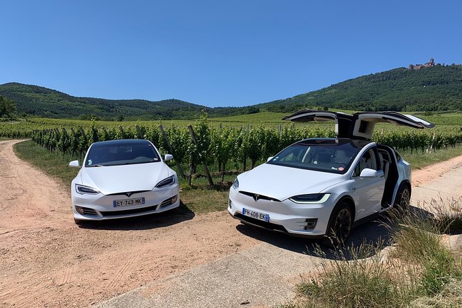 Alsace Private Tailored Tour in a Tesla With a Local - Common Questions