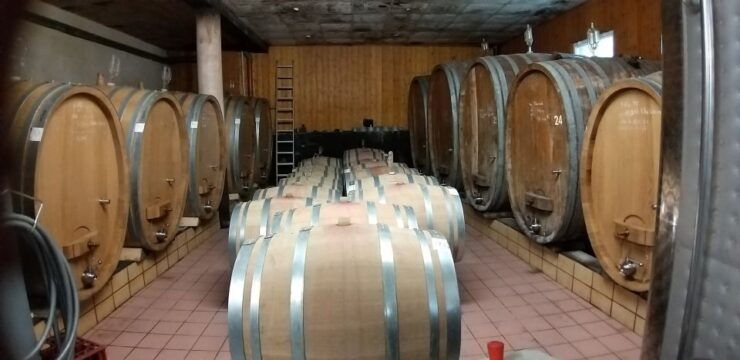 Alsace: Private Wine Tour - Experience