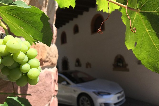 Alsace Tour : Wine Tasting, Villages & Castle Visits With Friendly Tesla Driver - Positive Experiences and Comfortable Transportation