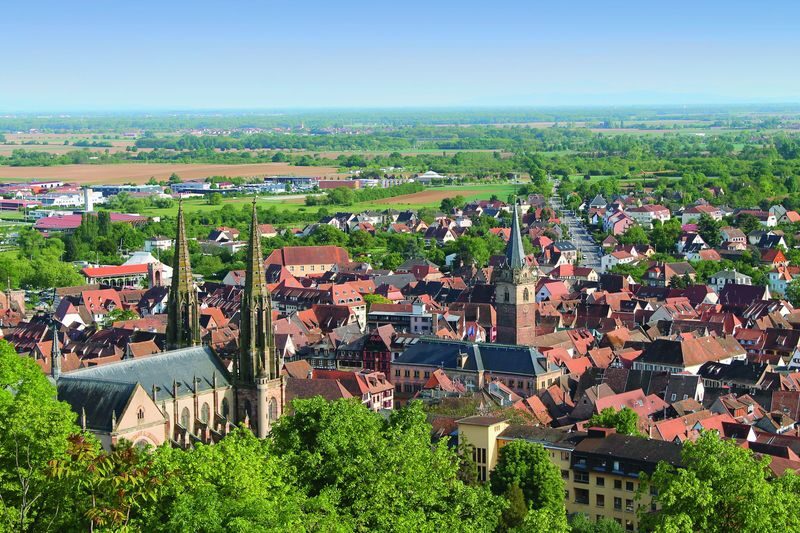 Alsace vineyard tour from Strasbourg - Key points before you book