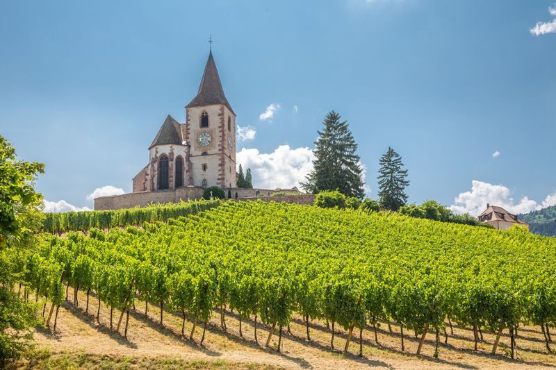 Alsace vineyard tour from Strasbourg - A scenic drive, not a string of town stops