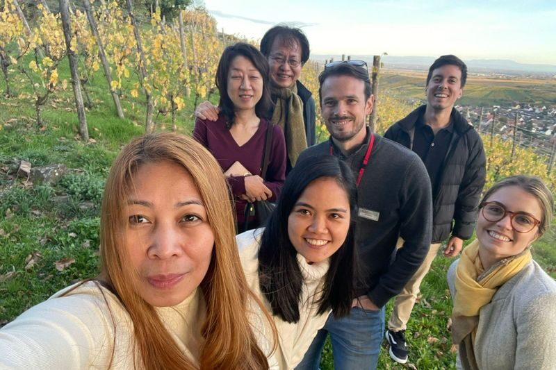 Alsace vineyard tour from Strasbourg - Who will enjoy this tour most?