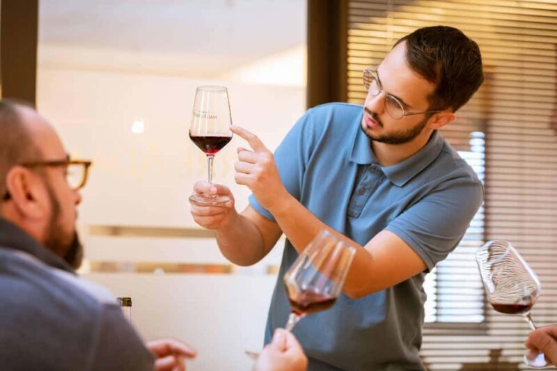 Alsace: Visit and Wine Tasting at Domaine Pierre Adam - What to Expect at Domaine Pierre Adam