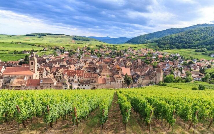 Alsace Wine Odyssey: Full-Day Private Tour From Strasbourg - Tour Details