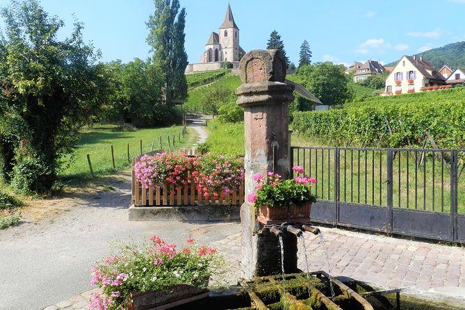 Alsace Wine Route and Village Tour From Colmar - Tour Details