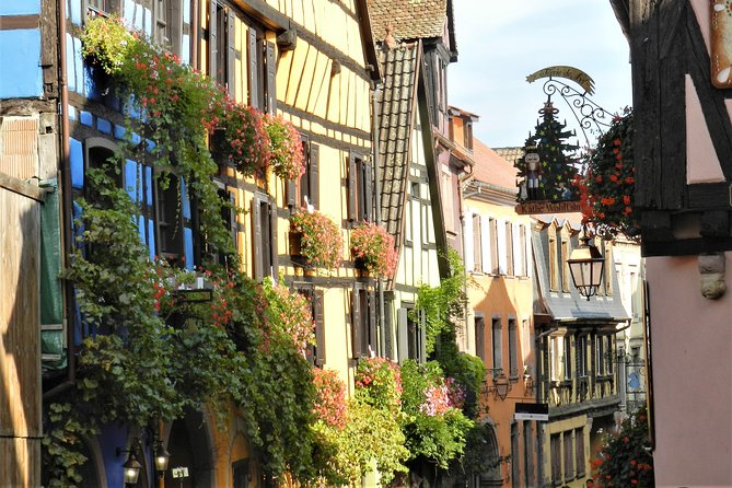 Alsace Wine Route and Village Tour From Colmar - The Sum Up