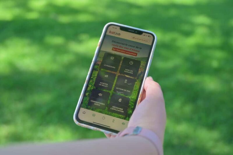 Alsace Wine Route: tour in a convertible bus with multiple stops - Good To Know